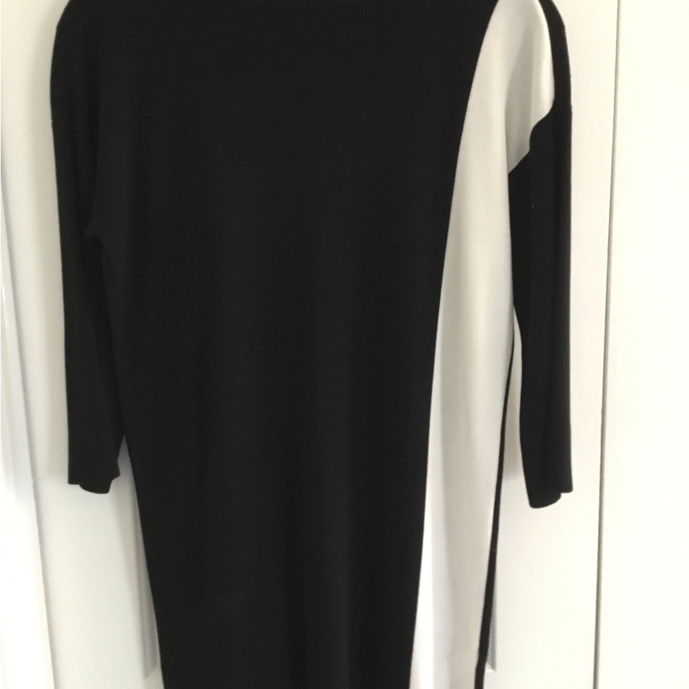 Eileen Fisher Tunic\short dress